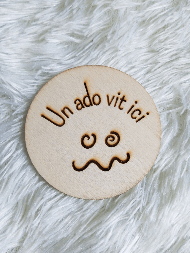 Disque accessoire "un ado vit ici" pour panneau de porte interchangeable By Romalysa