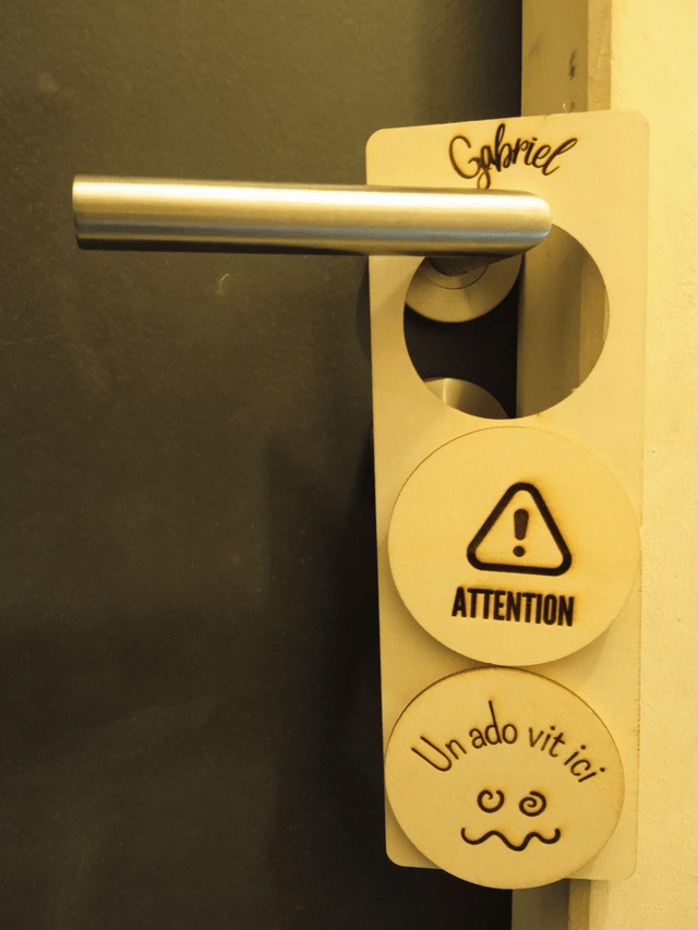 Panneau de porte interchangeable By Romalysa -- Panneau seul