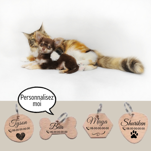 Médaille d'identification en bois pour animaux - chien chat - Personnalisation gravure laser